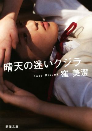 晴天の迷いクジラ (新潮文庫) 窪 美澄