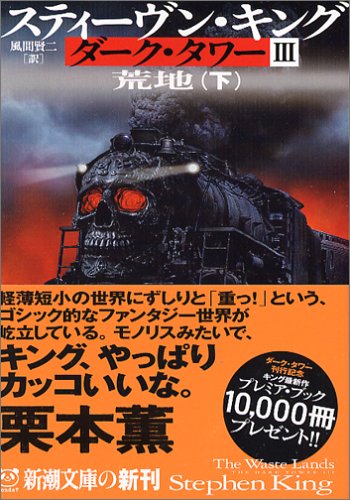 ダーク・タワー〈3〉荒地〈下〉 (新潮文庫) [Jan 30， 2006] スティーヴン キング King，Stephen; 賢二， 風間