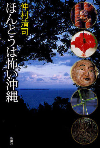 ほんとうは怖い沖縄 仲村 清司