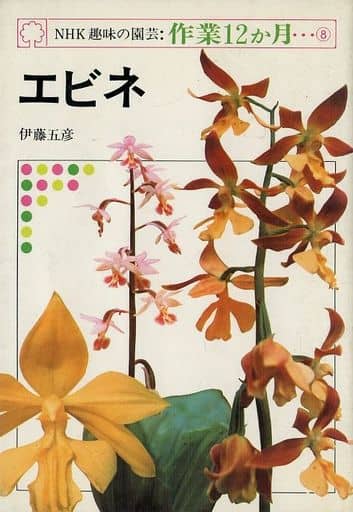 NHK趣味の園芸・作業12か月 8 エビネ 伊藤 五彦