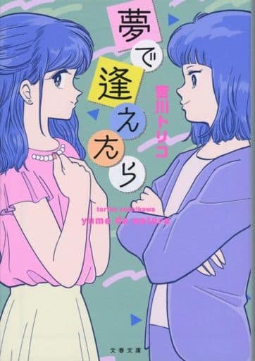 夢で逢えたら (文春文庫 よ 40-1) 吉川 トリコ