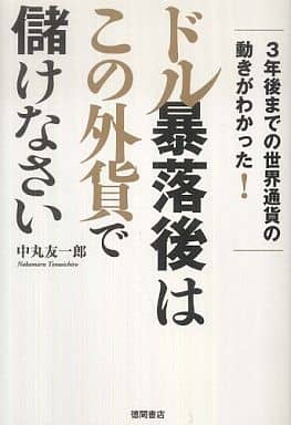 ３年後までの世界通貨の動きがわかった！ ドル暴落後はこの外貨で儲けなさい 中丸友一郎