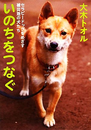 いのちをつなぐ セラピードッグをめざす被災地の犬たち (ノンフィクション・生きるチカラ 13) [Nov 29， 2012] 大木 トオル