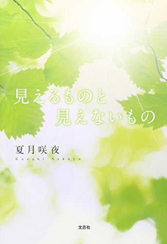 見えるものと見えないもの 夏月 咲夜