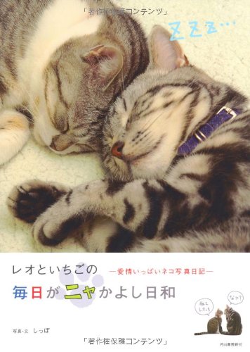 レオといちごの毎日がニャかよし日和―愛情いっぱいネコ写真日記 [Jul 19， 2007] しっぽ