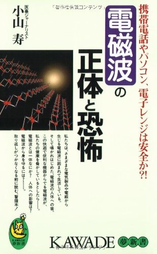 電磁波の正体と恐怖: 携帯電話やパソコン、電子レンジは安全か (KAWADE夢新書 102) [May 01， 1996] 小山 寿