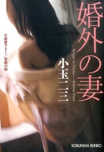 婚外の妻 (光文社文庫 こ 38-9) 小玉二三