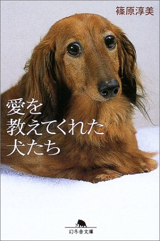 愛を教えてくれた犬たち (幻冬舎文庫 し 17-1) 篠原 淳美