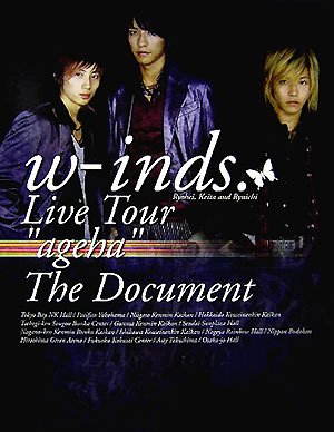 w-inds.Live Tour“ageha”The Doc: ウィンズツアードキュメント写真集 [大型本] [Oct 01, 2005]