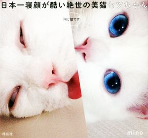 日本一寝顔が酷い絶世の美猫セツちゃん [Dec 10， 2014] mino