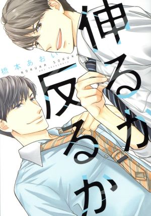 伸るか反るか (ディアプラス・コミックス) 橋本 あおい