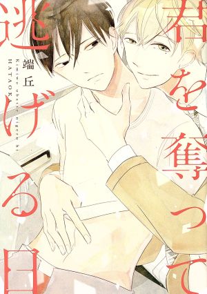 君を奪って逃げる日 (ディアプラス・コミックス) 端丘