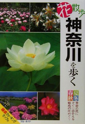 花散歩神奈川を歩く: 春夏秋冬季節の花にすぐに出会える魅惑の花めぐり 鎌倉ウォーキングマップ付 (ブルーガイド) ブルーガイド編集部