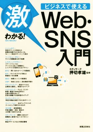 激わかる! ビジネスで使える Web・SNS入門 [Dec 06， 2017] カティサーク 押切孝雄