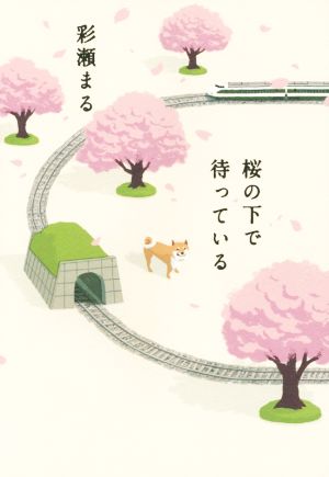 桜の下で待っている [Mar 12， 2015] 彩瀬 まる