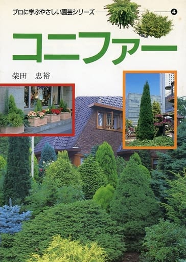 コニファ- (プロに学ぶやさしい園芸シリーズ 4) 柴田 忠裕
