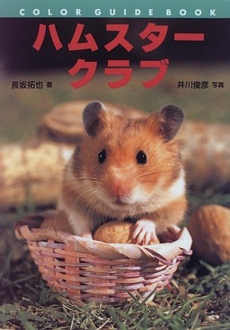 ハムスタ-クラブ (カラー・ガイド・ブック) [Jan 28， 1996] 長坂 拓也