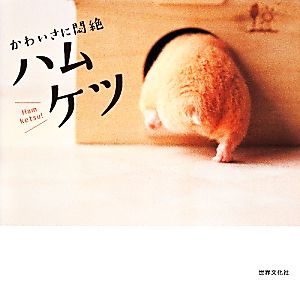 かわいさに悶絶 ハムケツ [Apr 18， 2014] 世界文化社