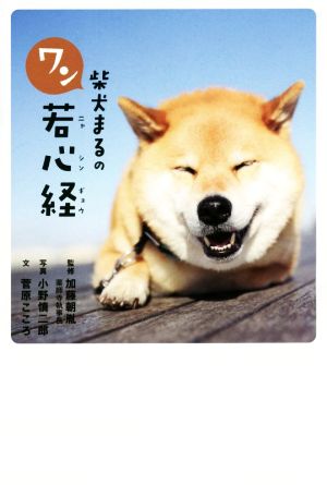 柴犬まるのワン若心経 [単行本] [Jul 29， 2016] 加藤朝胤 リベラル社 菅原こころ; 小野慎二郎