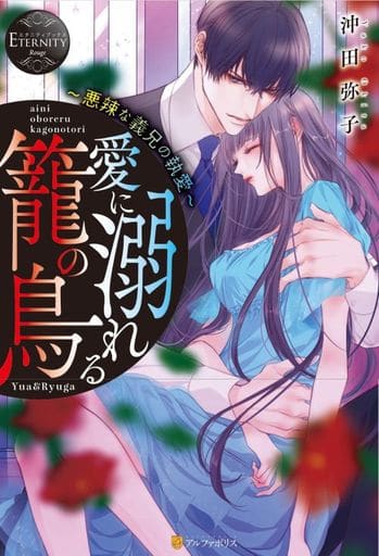 愛に溺れる籠の鳥: 悪辣な義兄の執愛 (エタニティブックス Rouge) 沖田弥子