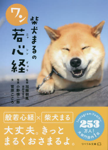 柴犬まるの (ワン若心経) [文庫] 加藤朝胤; 小野慎二郎