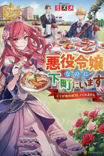 悪役令嬢なのに下町にいます ~王子が婚約解消してくれません~ (レジーナブックス) ミズメ