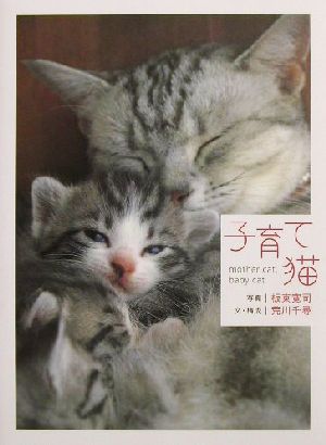 子育て猫 (ねこマニアック) [Apr 01， 2002] 荒川 千尋; 板東 寛司