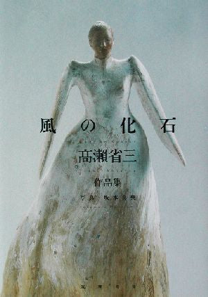風の化石: 高瀬省三作品集 [単行本] 高瀬 省三; 坂本 真典
