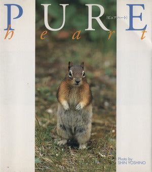 ピュアハート 吉野 信; 中嶋 真澄