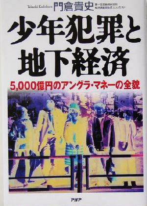 少年犯罪と地下経済: 5000億円のアングラ・マネーの全貌 [Jul 01， 2004] 門倉 貴史