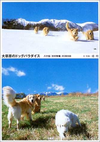 大草原のドッグパラダイス: 八ケ岳「犬の牧場」の365日 堀 明