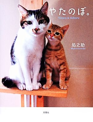やたのぼ。 [Dec 18， 2013] 処之助