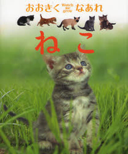 ねこ (おおきくなあれ) [Jun 01， 2007]