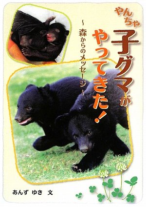 やんちゃ子グマがやってきた!: 森からのメッセージ (ジュニア・ノンフィクション) [May 01， 2009] あんず ゆき