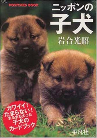 ニッポンの子犬 ポストカ-ド