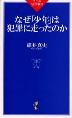 なぜ少年は犯罪に走ったのか (ワニのNEW新書 25) 碓井 真史