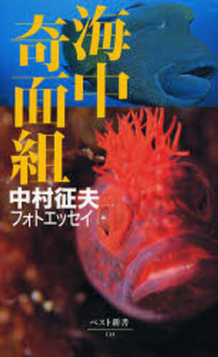 海中奇面組 ビジュアル版: 中村征夫フォトエッセイ (ベスト新書 122) 中村 征夫