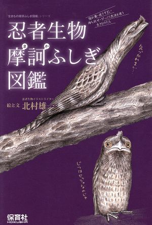 忍者生物摩訶ふしぎ図鑑(生きもの摩訶ふしぎ図鑑シリーズ) (「生きもの摩訶ふしぎ図鑑」シリーズ) 北村 雄一