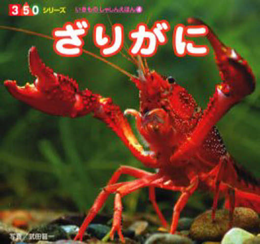 ざりがに (350シリーズいきものしゃしんえほん 4) [Apr 01， 2006] 武田 晋一