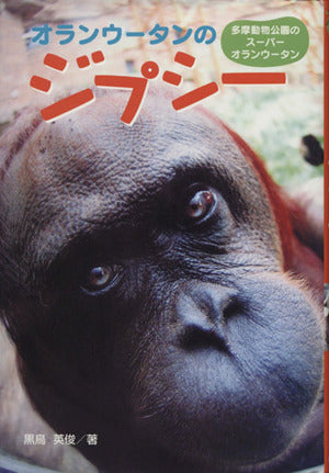 オランウ-タンのジプシ-: 多摩動物公園のス-パ-オランウ-タン (ポプラ社ノンフィクション 2) [Sep 01， 2008] 黒鳥 英俊