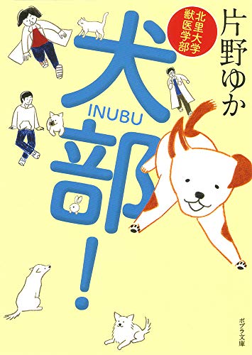 ([か]8-1)北里大学獣医学部 犬部! (ポプラ文庫 か 8-1) [Apr 05， 2012] 片野 ゆか