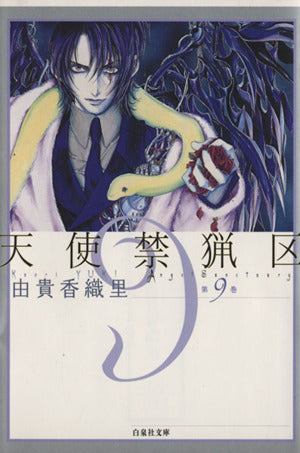 天使禁猟区 (第9巻) (白泉社文庫 ゆ 1-9) 由貴 香織里