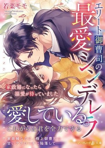 エリート御曹司の最愛シンデレラ~家政婦になったら溺愛が待っていました~ (マーマレード文庫) [文庫] 若菜 モモ