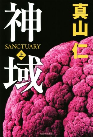 神域 上 [単行本] 真山 仁