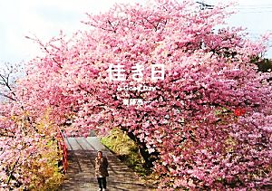 佳き日 齋藤 亮一