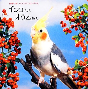 インコちゃんオウムちゃん 監修:池渕万季