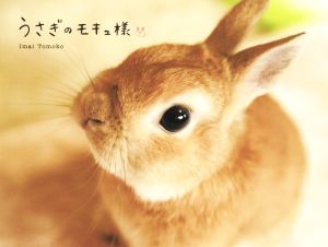うさぎのモキュ様 Tomoko Imai