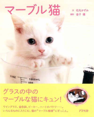 マーブル猫 金子靖; 石丸かずみ
