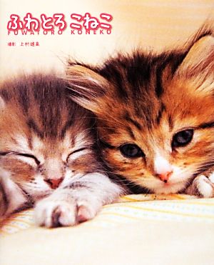 ふわとろこねこ 上村雄高