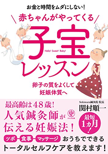赤ちゃんがやってくる 子宝レッスン お金と時間をムダにしない! [Sep 09， 2015] 関村 順一